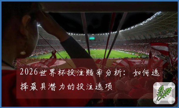 2026世界杯投注赔率分析：如何选择最具潜力的投注选项
