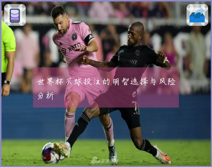 世界杯买球投注的明智选择与风险分析