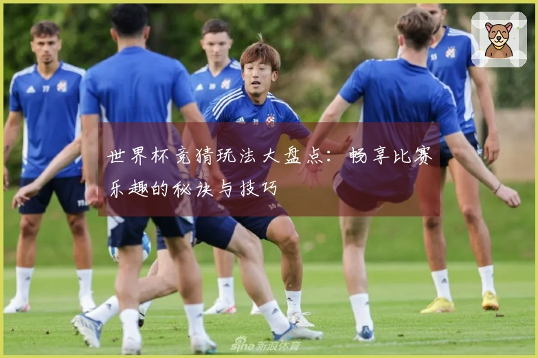 世界杯竞猜玩法大盘点：畅享比赛乐趣的秘诀与技巧