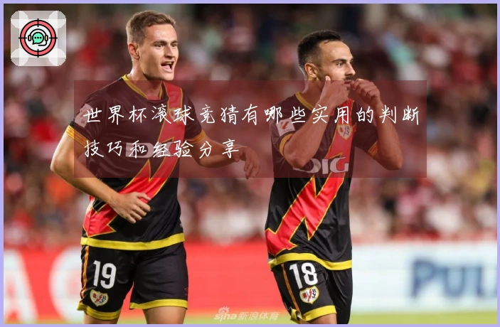 世界杯滚球竞猜有哪些实用的判断技巧和经验分享