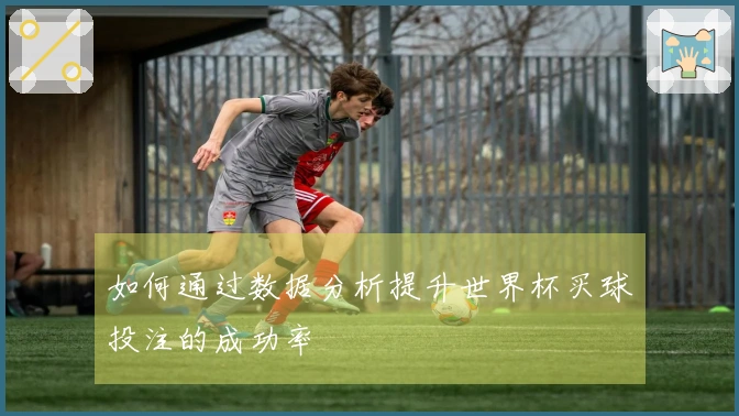 如何通过数据分析提升世界杯买球投注的成功率