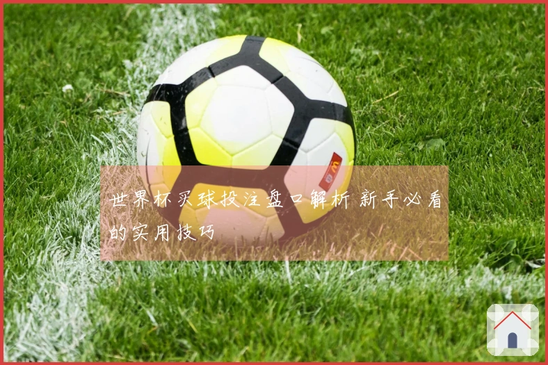 世界杯买球投注盘口解析 新手必看的实用技巧