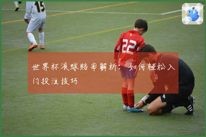 世界杯滚球赔率解析:如何轻松入门投注技巧