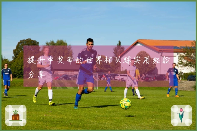 提升中奖率的世界杯买球实用经验分享
