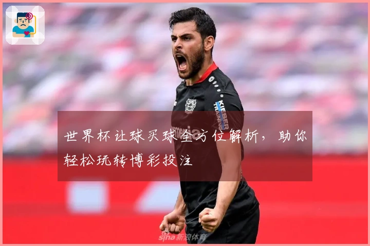 世界杯让球买球全方位解析,助你轻松玩转博彩投注