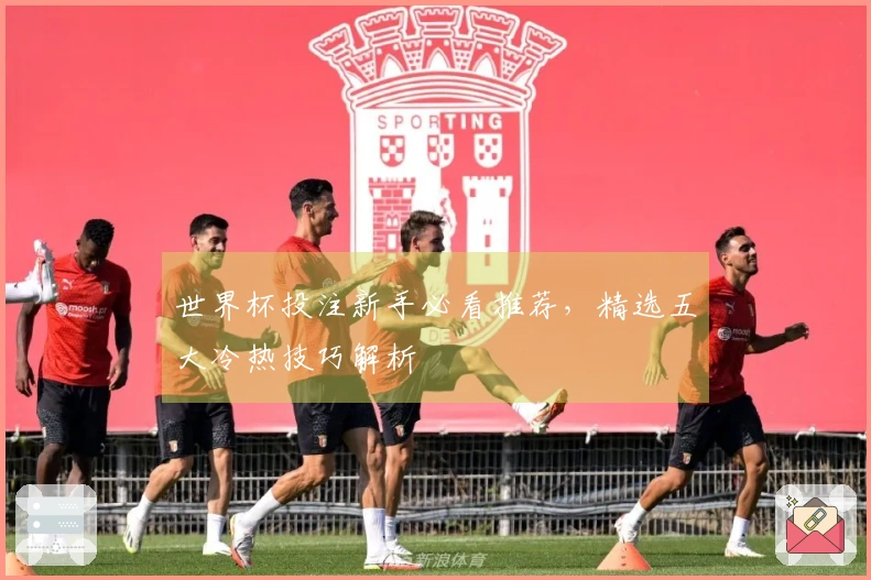 世界杯投注新手必看推荐，精选五大冷热技巧解析