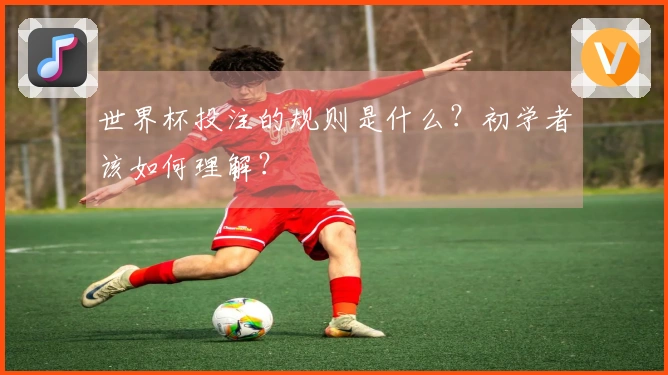世界杯投注的规则是什么？初学者该如何理解？