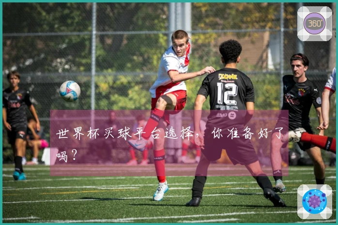 世界杯买球平台选择，你准备好了吗？