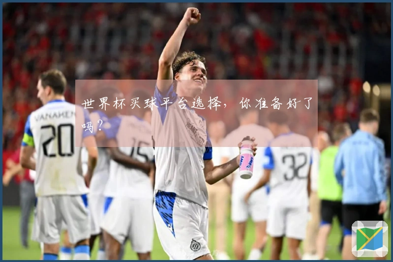 世界杯买球平台选择，你准备好了吗？