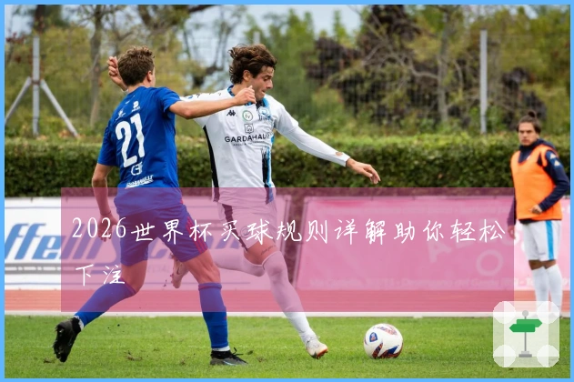 2026世界杯买球规则详解助你轻松下注