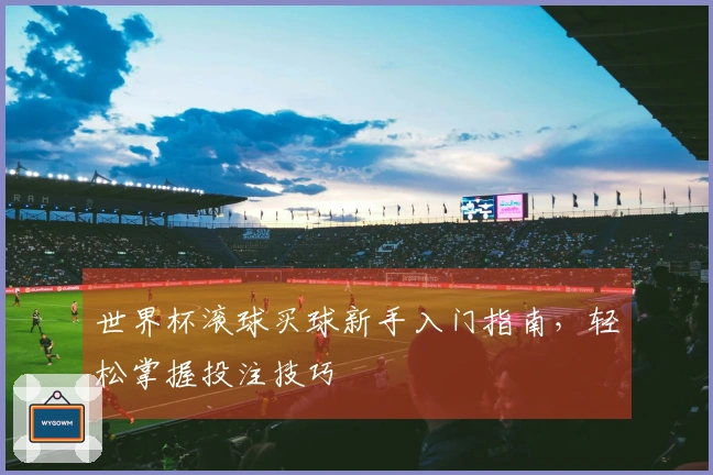 世界杯滚球买球新手入门指南，轻松掌握投注技巧
