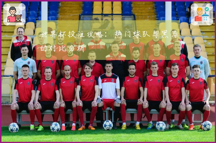 世界杯投注攻略:热门球队与黑马的对比分析
