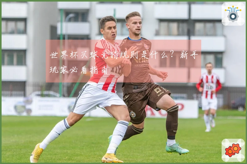 世界杯买球竞猜规则是什么？新手玩家必看指南