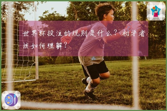 世界杯投注的规则是什么？初学者该如何理解？