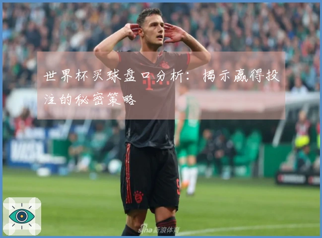 世界杯买球盘口分析：揭示赢得投注的秘密策略