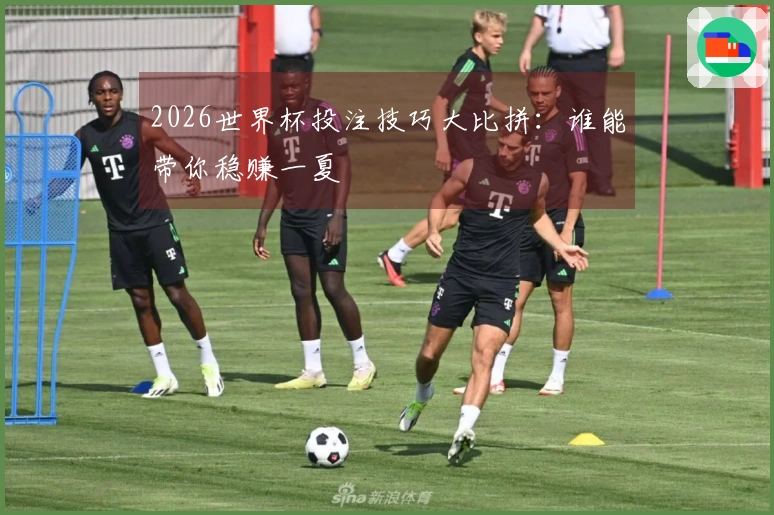 2026世界杯投注技巧大比拼：谁能带你稳赚一夏