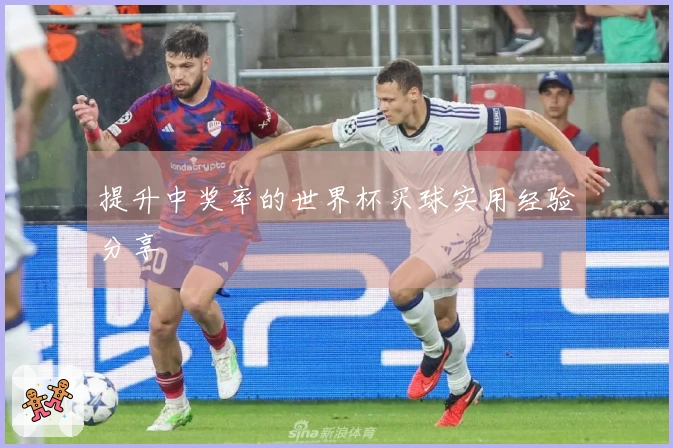 提升中奖率的世界杯买球实用经验分享