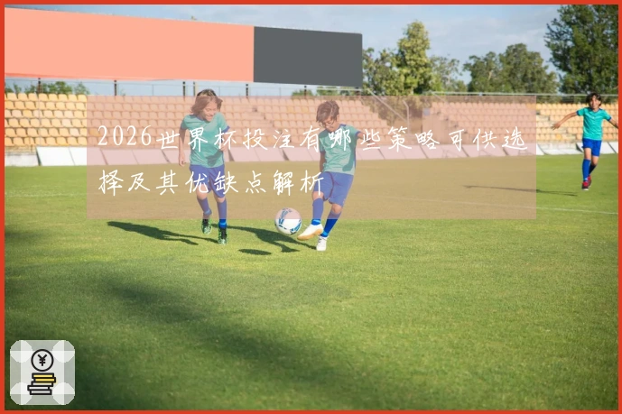 2026世界杯投注有哪些策略可供选择及其优缺点解析