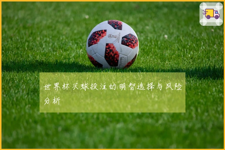 世界杯买球投注的明智选择与风险分析