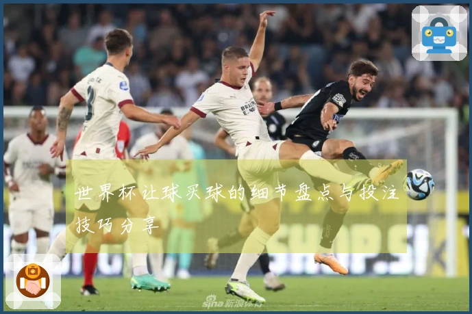 世界杯让球买球的细节盘点与投注技巧分享