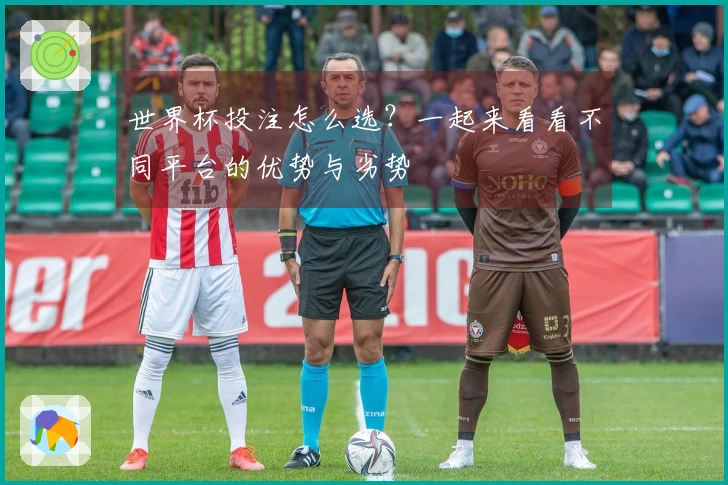 世界杯投注怎么选？一起来看看不同平台的优势与劣势