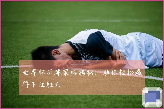 世界杯买球策略揭秘，助你轻松赢得下注胜利